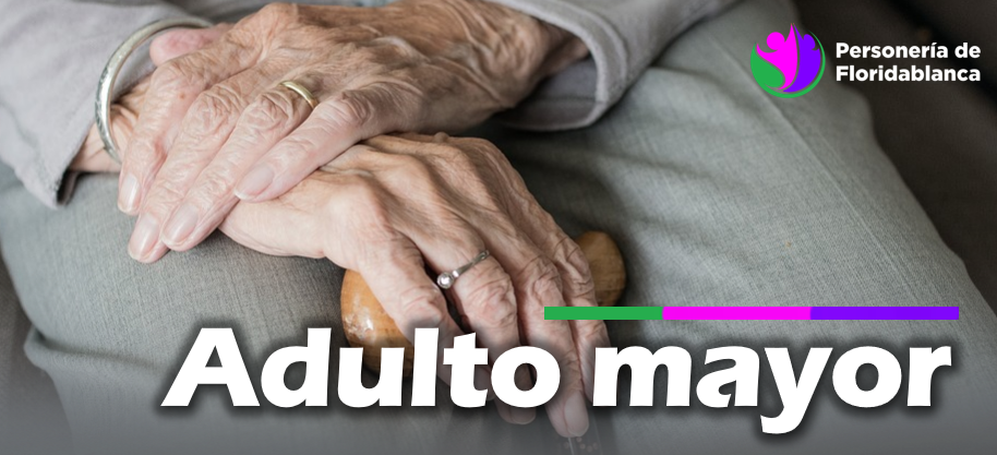  adulto 